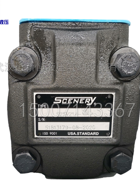 全新SCENERY液压泵S25V21A-1D S20V S35V S45V高压工业子母叶片泵