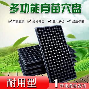 育苗盘育苗盆穴盘塑料杯种植营养钵蔬菜育种扦插盒农用托盘盆