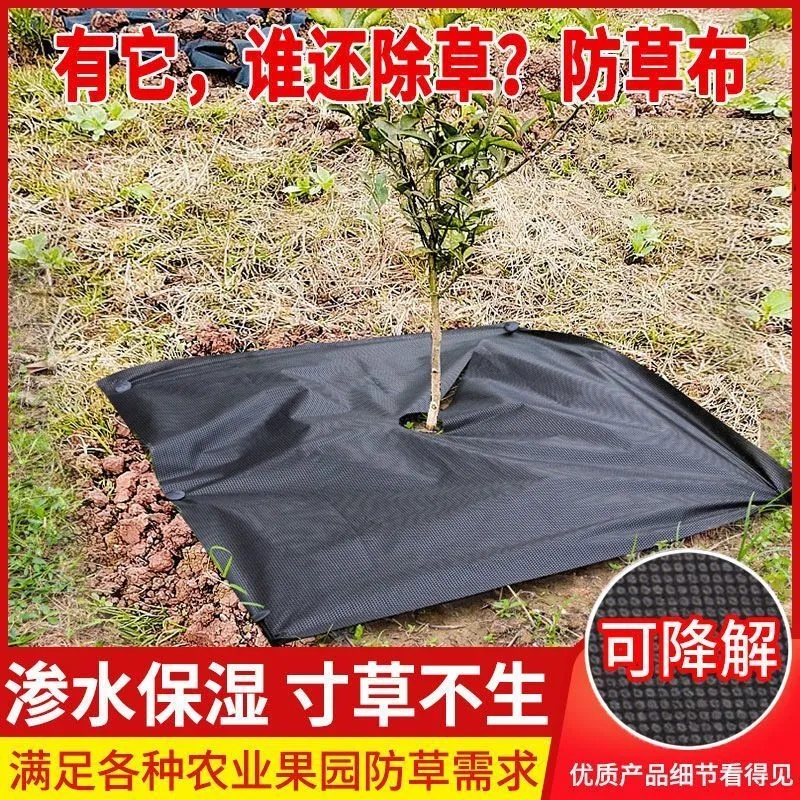 农用除草布pp园艺切片打孔遮草布