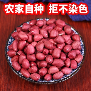 5斤 云南精品红皮花生农家四粒红衣花生米新货大粒生花生仁不带壳