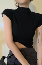 莫代尔短袖T恤女2025春秋新款修身显瘦半高领打底衫气质短款上衣