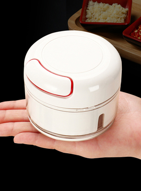 迷你打拉切蒜器厨房神器绞蒜碎蒜器手动小型家用料理器姜蒜搅碎机