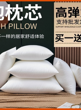 超饱满买一送一靠枕芯