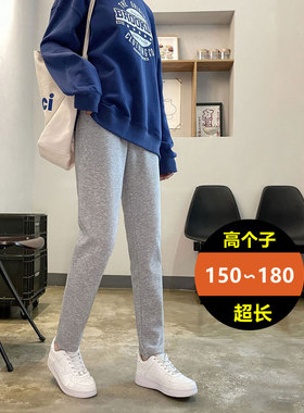 浅灰色直筒运动裤女哈伦小脚萝卜裤2025新款秋季加长版高个子休闲