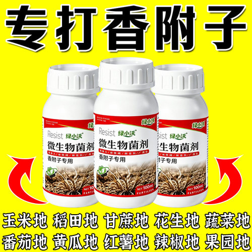 香附子专用烂锄草根助菜地荒地野外不伤作物香附子强效微生物菌肥