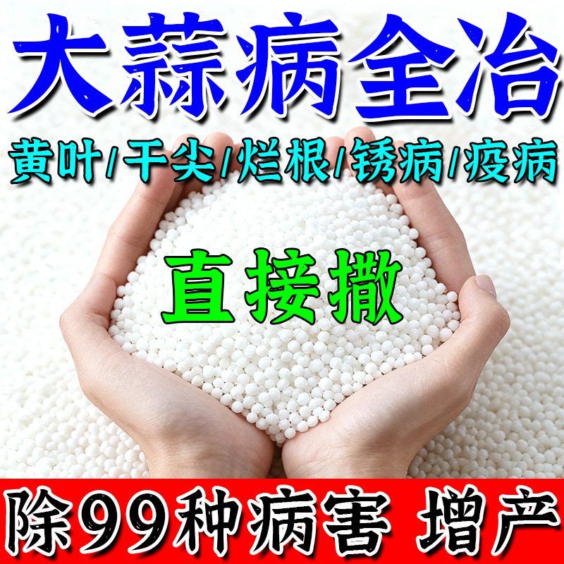 大蒜病害蒜苗黄叶病专用药杀菌剂叶枯病菌核锈病根腐病干尖蒜菌清