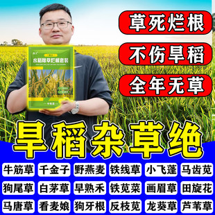 旱稻苗后除草专用剂不伤苗除稗草香附子田埂直播移栽田旱稻田正品