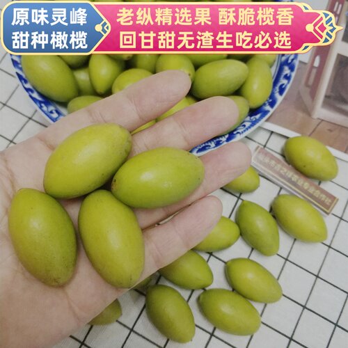 当季新鲜灵峰甜种橄榄原味生吃甘