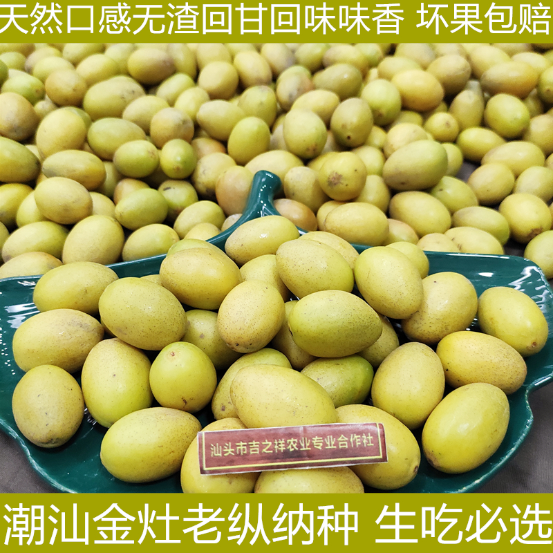 潮汕金灶新鲜正宗纳种橄榄生吃
