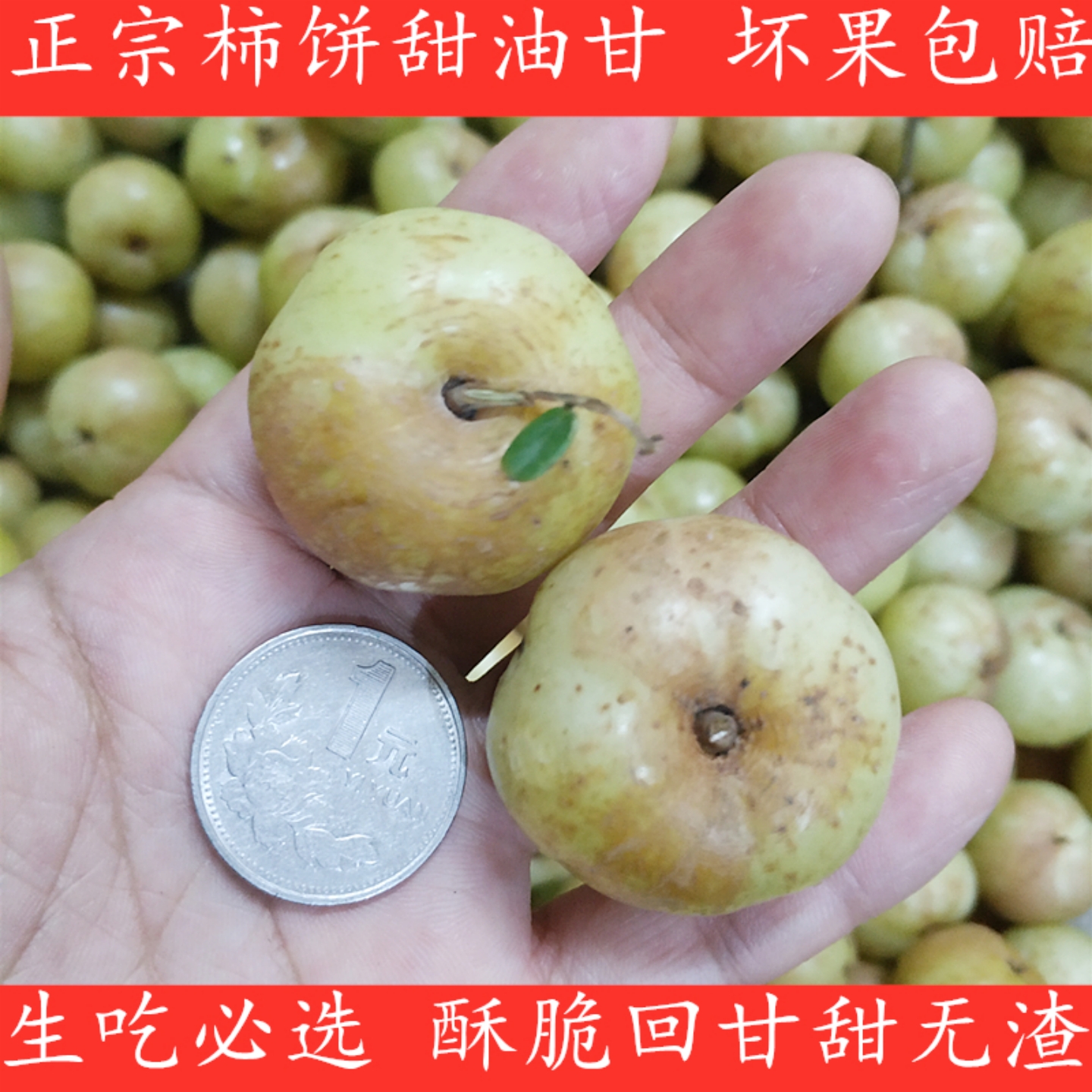 金灶新鲜现摘柿饼甜种油甘榨汁甘