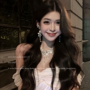 超闪水钻锆石晚礼服项链高级感夸张轻奢锁骨链名媛宴会主持人颈链