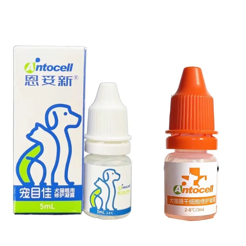 恩妥干细胞滴眼液修复眼角膜损伤犬猫用修复凝胶眼药水