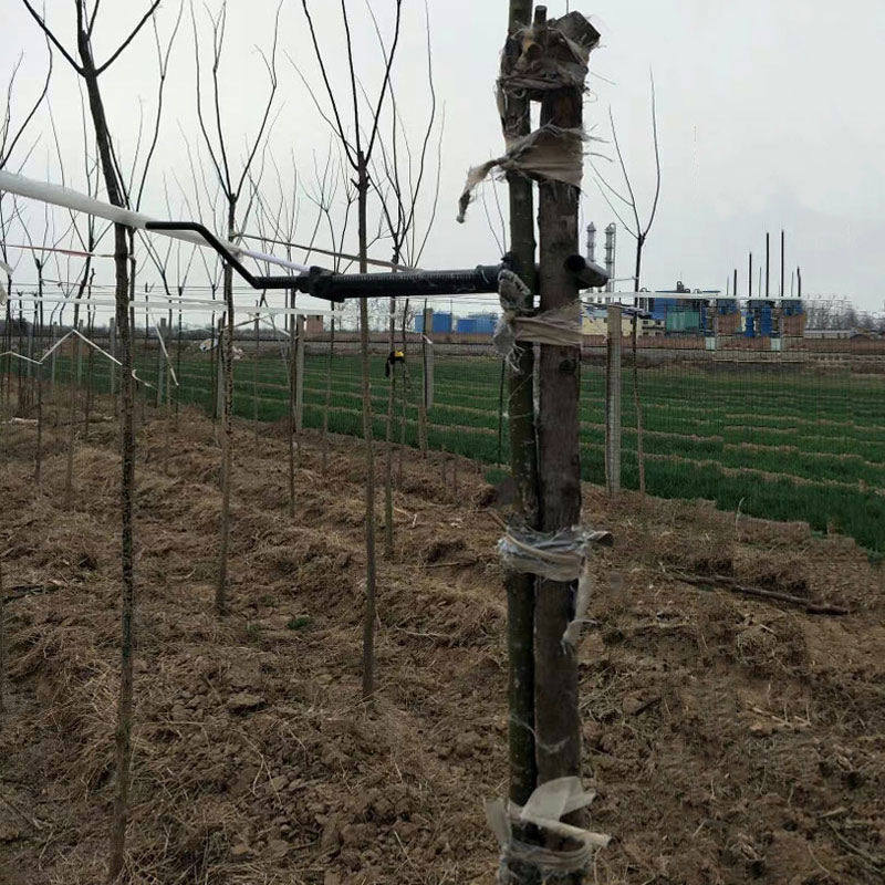 弯树调直器树木直弯器苗木矫正器国槐直树器园林果园农用校正工具