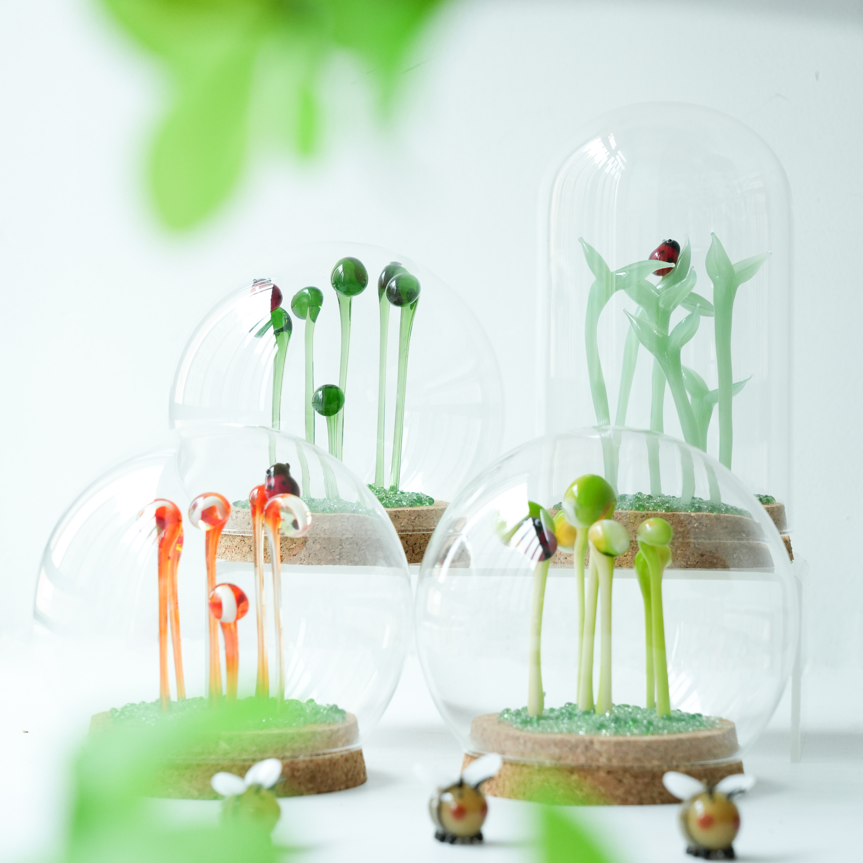 琉璃豆芽玻璃罩盆栽办公桌面摆件