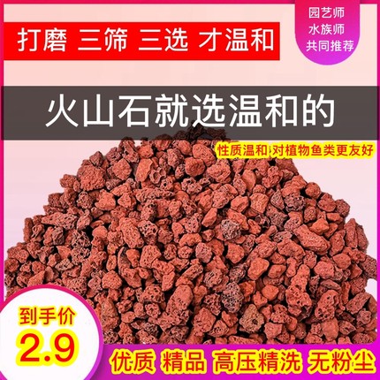 天然火山石颗粒多肉兰花专用拌土鱼缸水族营养土铺面垫底红火山岩