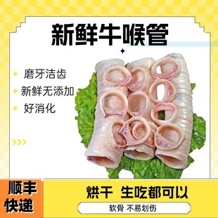 新鲜牛喉管肺管宠物猫咪狗狗烘干生吃食材零食自制顺丰快递