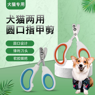 猫咪指甲剪小盲剪带圆孔宠物猫狗指甲刀防出血猫指甲剪防误伤