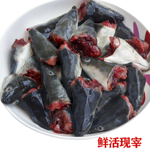 食用鳗鱼头新鲜黑鳗鱼头乌耳鳗鱼头白鳝鱼头新鲜鳗鱼头淡水