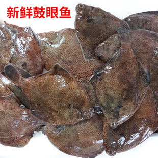 3斤装小鼓眼鱼新鲜福建海鱼高眼鱼海捕偏口鱼比目鱼牙片野生小鱼
