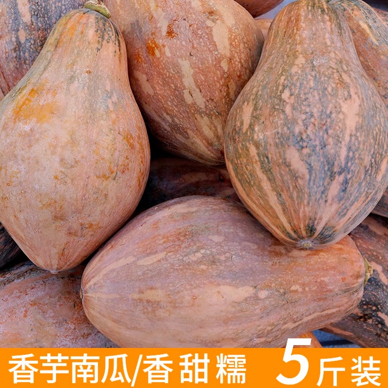 香甜香芋老南瓜小南瓜芋头味