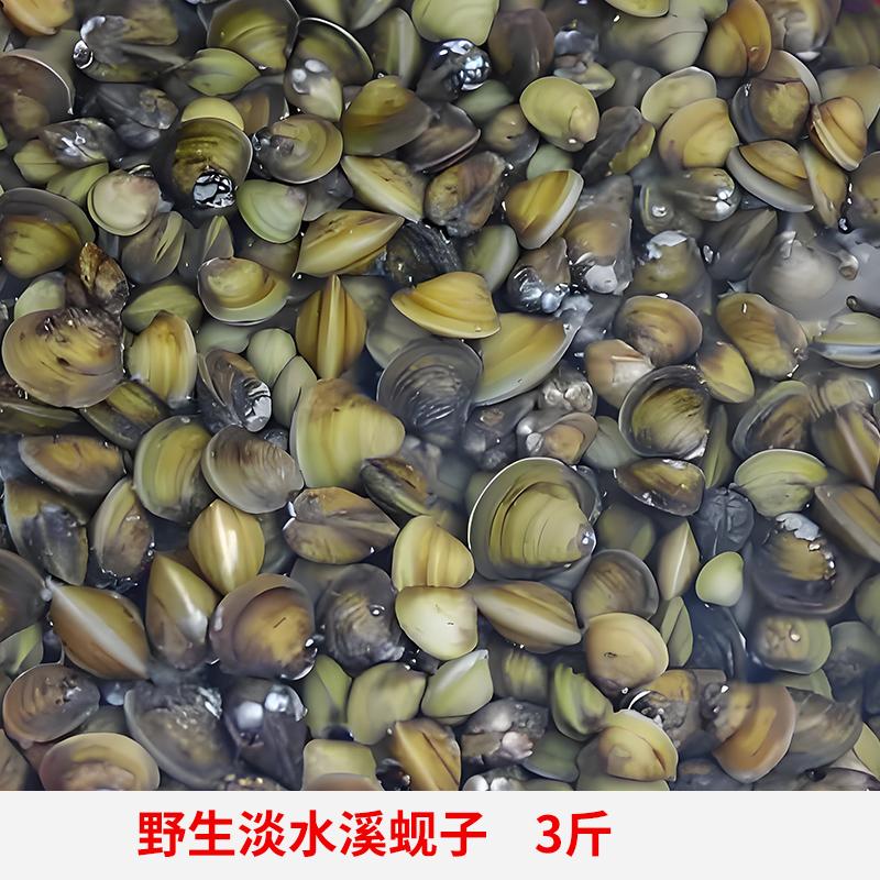 淡水溪蚬子鲜水产食用
