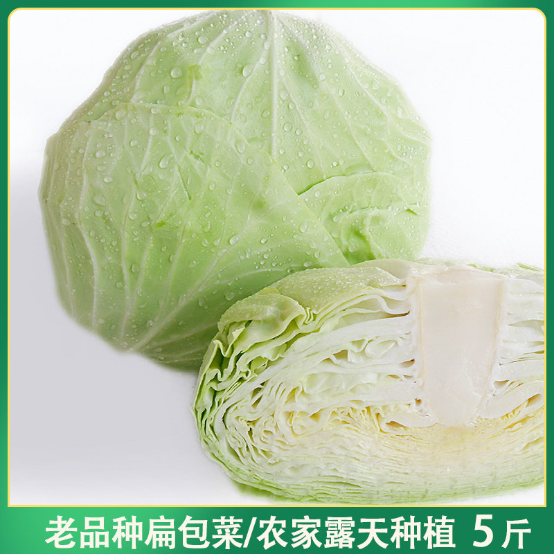 露天种植扁包菜扁平包包菜新鲜蔬菜台湾高丽菜莲花白卷心菜平包菜