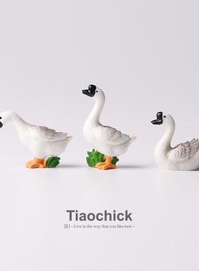 摆几只潮汕狮头鹅过过年治愈情绪