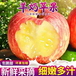 【又香又甜】正宗山西万荣羊奶苹果新鲜当季红富士孕妇水果整箱装