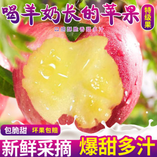 红富士孕妇水果整箱装 正宗山西万荣羊奶苹果新鲜当季 又香又甜