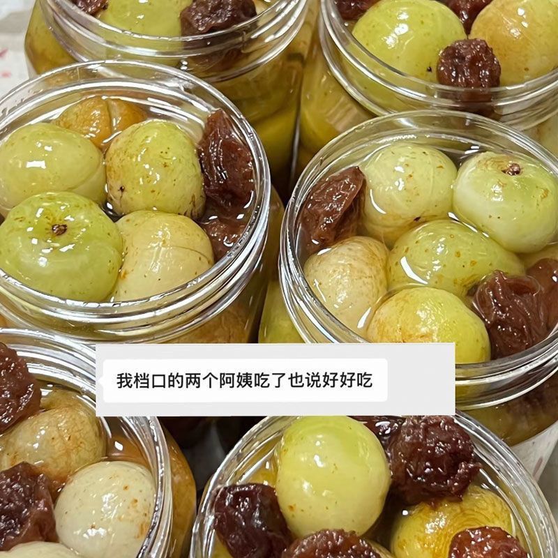 潮汕特产老冰糖话梅油柑果纯手工半腌制酸甜口味孕妇开胃水果