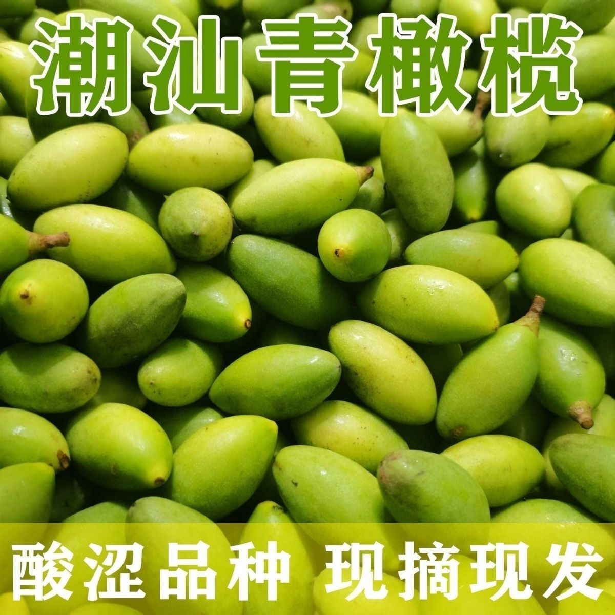现摘新鲜橄榄新果孕妇水果青果嫩