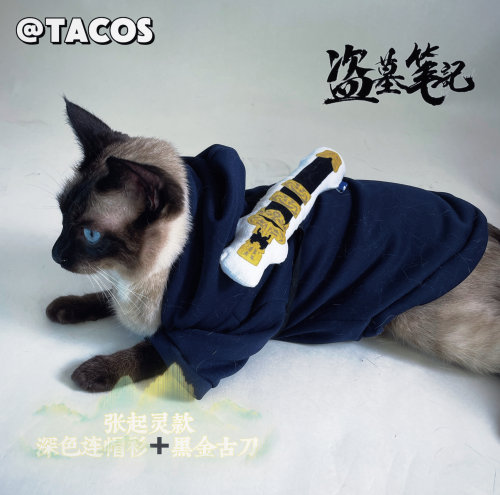 它cos/盗墓笔记张起灵闷油瓶蓝色配黑金古刀宠物衣服cos服