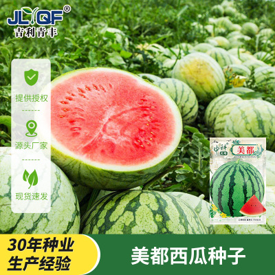 中科天塔美都西瓜种子早熟高产口感甜脆瓤色红不易裂果水果种籽孑