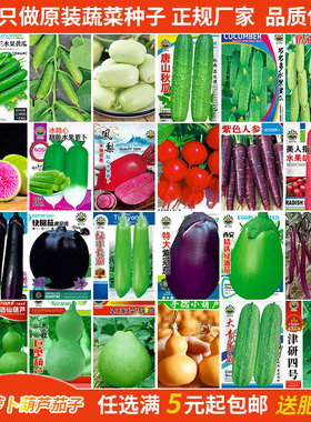 节节多水果黄瓜种子萝卜茄子葫芦唐山秋瓜青瓜满地爬津研蔬菜种籽