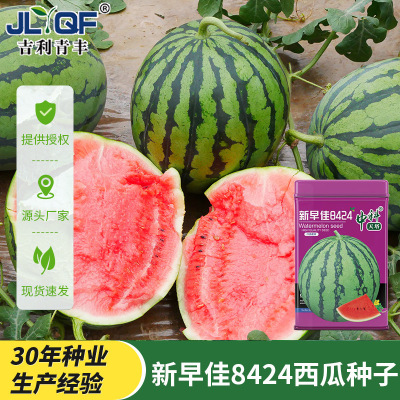 中科天塔新早佳8424西瓜种子早熟高产脆甜适应环境西瓜籽种孑