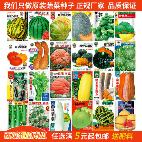 西瓜种子南瓜水果香瓜哈密瓜羊角蜜白沙蜜甜瓜绿宝石礼品西瓜种籽