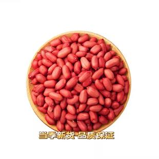 红皮花生米云南无壳新货现剥农家新货小颗粒新鲜花生仁五红汤原料