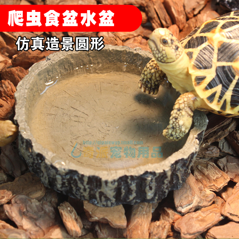 仿真水盆乌龟苏卡达陆龟爬虫食盆