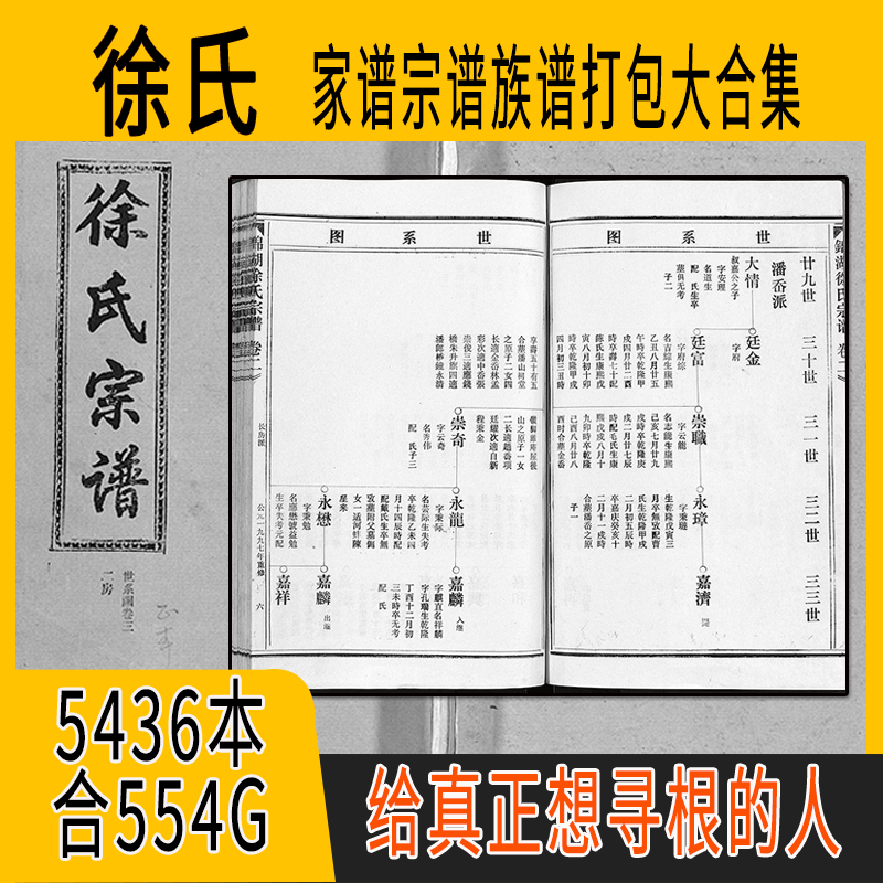 徐氏家谱 徐氏族谱  徐氏宗谱 徐姓祖谱寻根溯源研究收藏集合打包