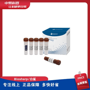 qPCR Mix 通用荧光定量PCR试剂盒BL697A通用SYBR Master 1mL