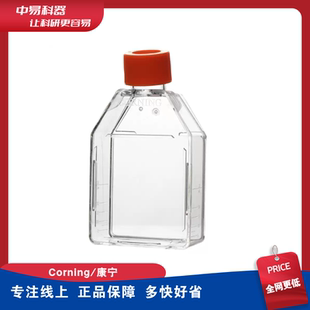 康宁CORNING细胞培养瓶25 430641 cm正方透气盖430639