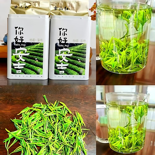 吉山红2026新茶宋帝御赐安吉白茶