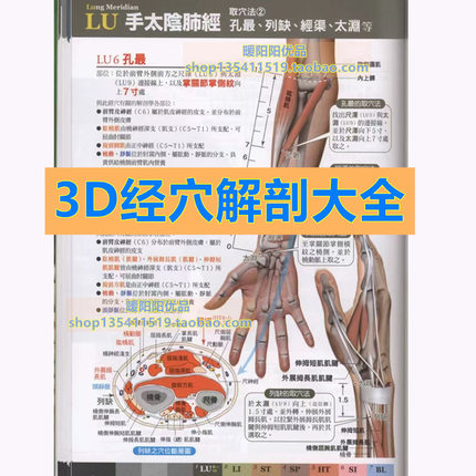3D经穴位中医解读解剖学习资料电子版