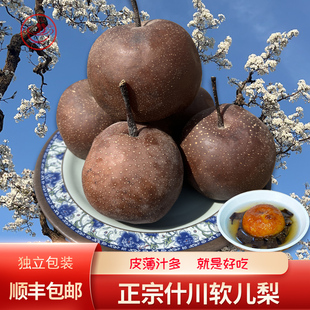 软儿梨正宗兰州皋兰冻梨咳嗽化痰香水梨甘肃农家新鲜黑梨化心果子