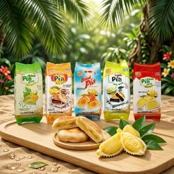 越南新华园榴莲饼 400克 多种口味 越南原产吃得放心