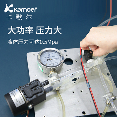 卡默自尔隔泵12v电机微型泵水泵 吸水膜泵循环泵耐腐蚀吸泵压力泵