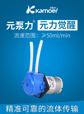 卡默尔蠕动泵12v泵实验室自吸泵循环泵 电机抽水泵CKP泵头小水泵