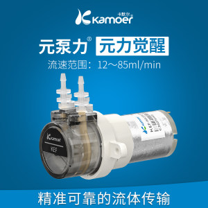 卡默尔蠕动泵12v微型泵电动泵循环泵24伏泵头电机实验室KEF抽水泵