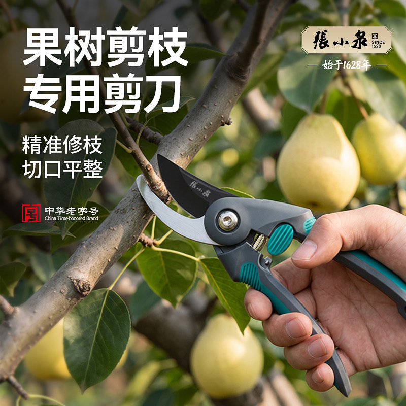 张小泉果树剪枝专用剪刀sk5钢园艺园林修枝剪摘果剪花卉插花剪刀图片