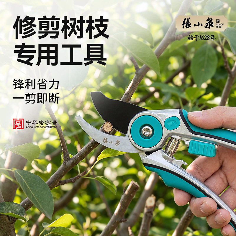 张小泉修剪树枝专用工具SK5钢园艺剪刀果树绿植修枝剪采摘工具